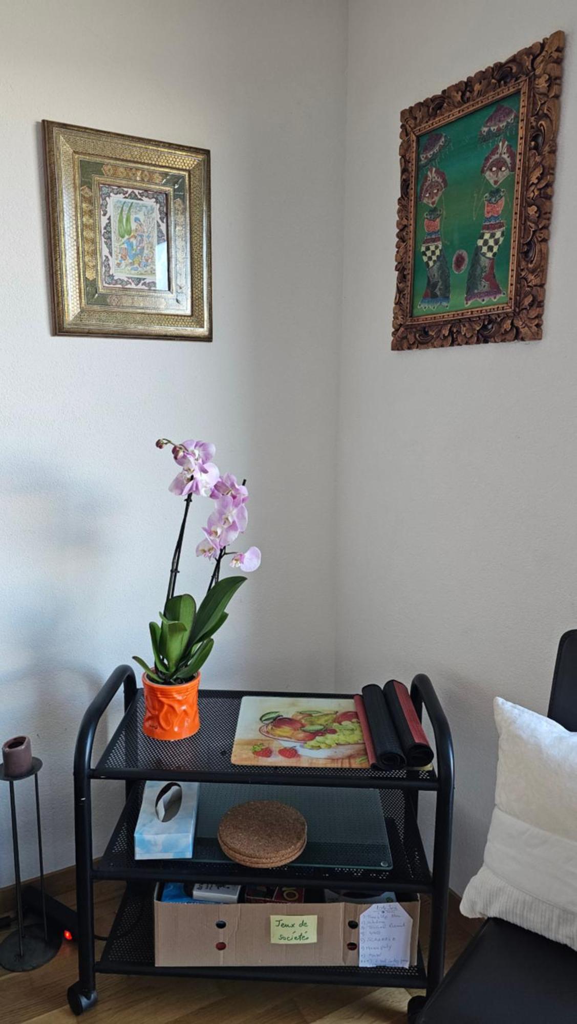 Appartement Meuble A Louer A Nax Dış mekan fotoğraf